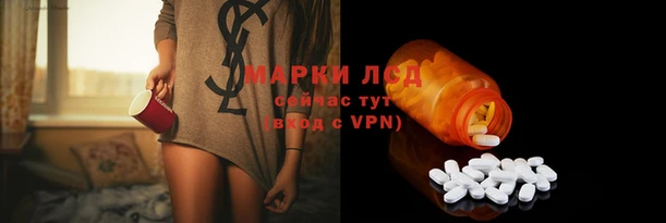 PSILOCYBIN Липки