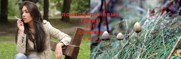 PSILOCYBIN Липки