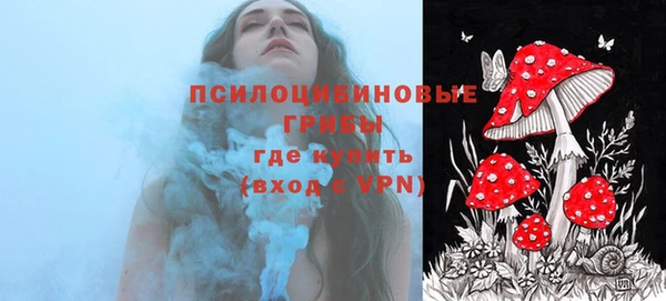 амф Медвежьегорск