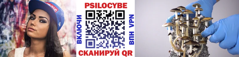 Галлюциногенные грибы мицелий Ленинградская